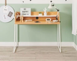 Malmo Desk 11 Malmo Desk -Room to Grow Malmo 0004 Palmer desk straight 2 edit copy 44112.1659607532