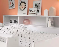 Swan Midsleeper With Pull Out Desk 16 Swan Midsleeper With Pull Out Desk -Room to Grow Swan 0001 bed shelving 57199.1659015862