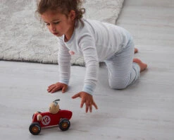 Rabbit Racing Car Toy