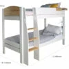 Urban Birch Bunk Bed