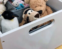 Sorting Box 25 Sorting Box -Room to Grow tidu books 0006 tb 16 0020 05849.1664282033