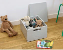 Sorting Box 23 Sorting Box -Room to Grow tidu books 0009 tb 16 0010 42108.1664282033