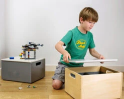 Sorting Box 21 Sorting Box -Room to Grow tidu books 0012 tb 16 0080 42411.1664282033