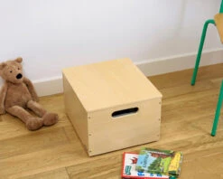 Sorting Box 19 Sorting Box -Room to Grow tidu books 0013 tb 16 0008 30790.1664282026